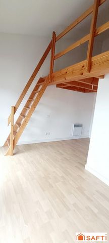 photo no. 8