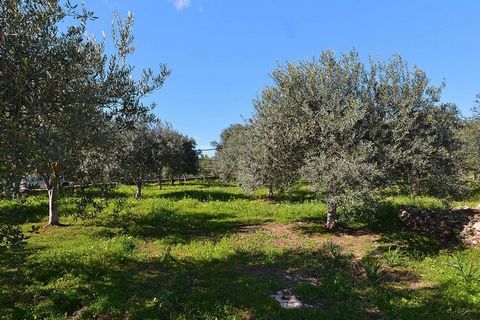 Attractive holiday home with a private swimming pool and a wonderfully large sun terrace with a beautiful view of the Mediterranean landscape. A covered barbecue area with running water ensures cozy culinary evenings outdoors. The ground-level holida...