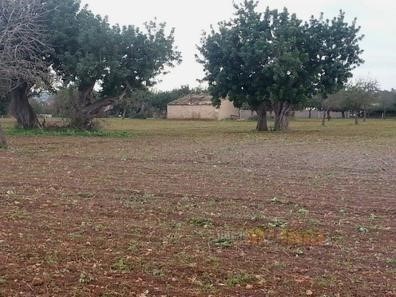 Welcome to an exceptional opportunity at INMOPROPIEDAD! We present a unique plot of land, located in a rural area of Marratxí, registered in the Land Registry and offering a parcel lot with a generous capacity of 14,260 square meters (the precise cap...