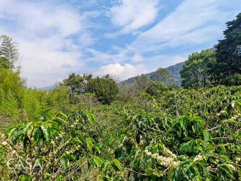 Ce terrain à vendre à Las Terrazas, niché à Jaramillo, Boquete, offre une vue impressionnante sur les montagnes et le Volcan Barú. Un grand mélange d’arbres paysagers et fruitiers, constitue une toile de fond idéale pour la construction de votre doma...