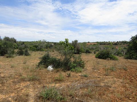 Rustiek land met 13810 m2, gelegen in Vale Verde, zeer dicht bij Guia. Het is goede grond voor landbouw en er zijn traditionele bomen uit de Algarve, namelijk johannesbrood-, vijgen-, amandel- en olijfbomen.