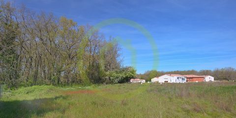 Quiet and close to the forest of Montech and its hiking trails (300 m), fully serviced land of about 608 m² on the edge of a wooded plot. The city center and its shops are 1.2 km, the train station 2 minutes (1.4 km), Montauban 19 minutes or 17 km, T...