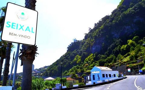 Lazy Lizard by the Ocean offers you another modern-traditional space, a double studio with the specifics of Wine Spirit, developed in a traditional building in Madeira, completely rebuilt and modernized. The initial space was a wine cellar, a space w...