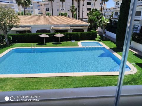 Beautiful apartment one block from the Albi beach. It has two double bedrooms;the main bedroom with a large double bed and the second one with two beds in a bunk bed, a bathroom with shower, open plan kitchen and living room.It also has air condition...