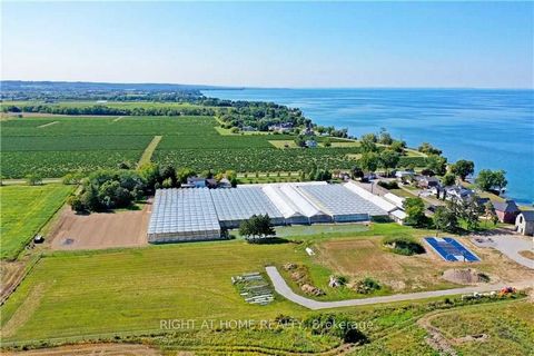 Located in the prestigious wine and fruit region, near Lake Ontario and the QEW, this property features 5.38 acres with a 554.43 ft of frontage and 429.33 ft of depth. The site boasts a well-maintained 90,000 sqft steel-framed structure, glass Venlo ...