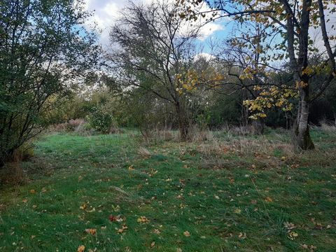 Ontdek dit prachtige stuk grond in de buurt van Delme. 31 beboste ares, 7,65 are bebouwbaar, landelijke omgeving, ideaal voor mensen die bijvoorbeeld paarden hebben. Geen PLU dus grote flexibiliteit van constructie, netwerken in de directe omgeving. ...