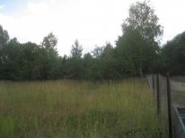 Kiev sh. 25 km. from Moscow, d.Pershino (Aprelevka) IZHS, 15 hectare plot of rectangular shape, light, gas for granitse.Na part of the site contains derevya.Uchastok forest located in the village, in the back section of the river Desna, swimming, 300...