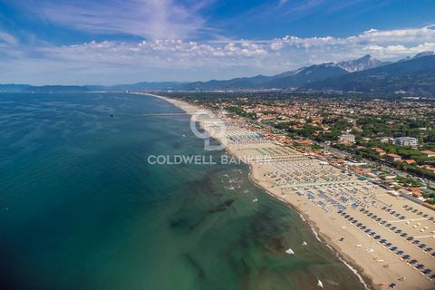 Seaside establishment in Forte dei Marmi with swimming pool in the prestigious and exclusive district of Imperial Rome, about 155 linear meters facing the sea. Forte dei Marmi stands where the road built at the behest of Michelangelo Buonarroti ended...