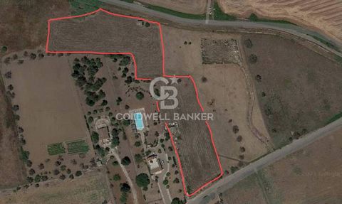 PARABITA - LECCE - SALENTO Located in Parabita, just a few minutes drive from the centre and in a constantly expanding residential area, we offer for sale an agricultural land of about 10,000 sqm. On the land a project for the construction of a one s...