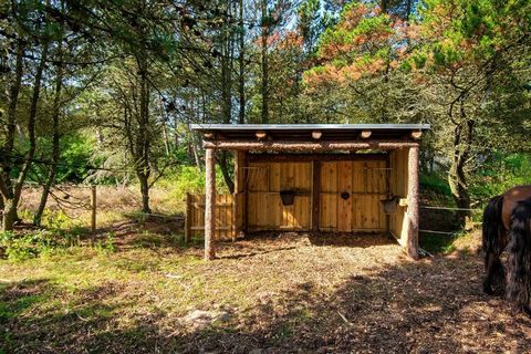 Ferienhaus mit Whirlpool und Sauna sowie attraktiver Lage in einem ruhigen Ferienhausgebiet auf der Insel Rømø, die für ihre besonders breiten Sandstrände und das Wattenmeer mit seiner reichen Vogelwelt bekannt ist. Das Ferienhaus steht als letztes, ...