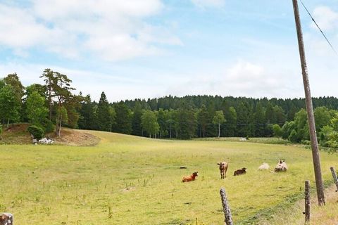 Here you live in a pleasant holiday home, surrounded by forest and pastures. The house belongs to a farm that the owner still uses. From the balcony you can enjoy this rural idyll. Here you drink your morning coffee or enjoy the afternoon sun. On sli...