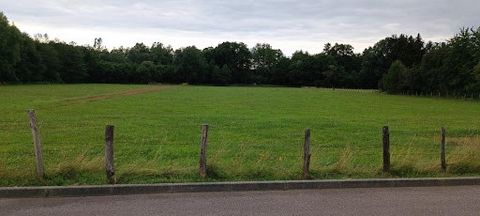 flat building plot in Luxeuil-Les-Bains 70300. rare for sale of an area of 9159M2. Located in a quiet and quiet street. This land is constructible on 2/3. Urban planning certificate ok. direct access to the D6 which serves the axes Epinal, Nancy, Ves...