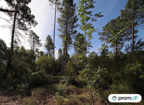 Are you looking for an idyllic terrain in the heart of unspoilt nature? Look no further! We have the perfect property for you in Tourrettes, in a beautiful forest. With an area of 10,000m2, this spacious plot offers you a multitude of possibilities. ...