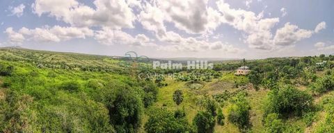 Esta idílica tierra de cultivo en forma de U combina una belleza natural de las verdes colinas circundantes de Puerto Plata con un enorme potencial para una capa de suelo fértil que cubre la tierra y la proximidad a la principal infraestructura de la...