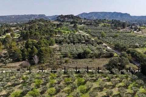 Eygalieres - Charming residence of 260m2 on a plot of 2 hectares 9. House entirely on one level, 70m2 living space opening onto terrace and pool with view of old village, professional kitchen, 3 en suite bedrooms in main house, outbuilding. Spa with ...