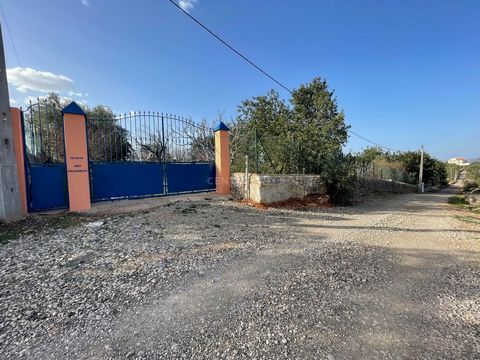 Farm with agriculture house, water from Municipality, automatic irrigation, Many different types of fruit trees and vegetables. Open view, with sea view at distance. Good access with tar road. Portugal is well known for its Mediterranean climate, wit...