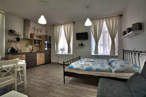 Rental Studio for two persons. The studio include a fully equipped kitchenette, bathroom with toilet and shower and satellite TV . There is a washing machine and a tumble dryer on the shared corridor