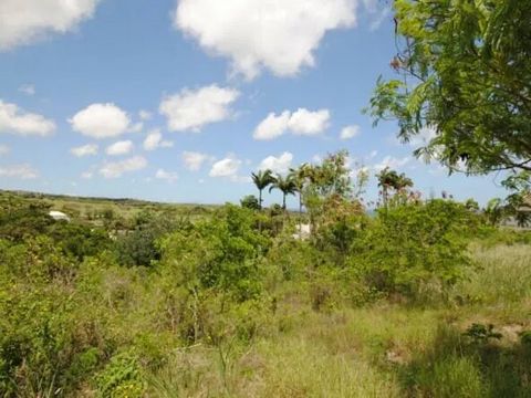 An extraordinary chance to acquire an expansive plot of land in a prestigious setting at Westmoreland, St. James. Combining both lots, this remarkable property spans nearly 1.5 acres, presenting breathtaking vistas of the Royal Westmoreland golf cour...