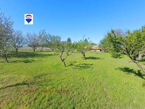 RE/MAX is pleased to present you a wonderful plot of land in the village of Borisovo near Ruse. The plot is flat and has an area of 2 acres. There are perennials of fruit trees, and in one part there is a building for the purpose of storing agricultu...