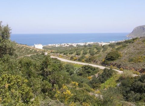 Located in Agios Nikolaos. This building land is located between the village of Milatos and the pretty coastal village of Sissi. The land enjoys sea views and it is about 2.5 km away from beaches. The land is 6768 sq. meters in size. A house or house...