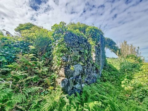 Have you ever woken up in the morning and thought about what it would be like to buy a ruin close to nature and with a sea view and rebuild it to your liking? Ruined house with 72 m2 for total restoration, in Fajãzinha, in a magnificent landscape of ...