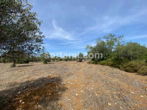 Plot of land with the possibility to make a caravan park in Sao Bras de Alportel. It has the possibility of having fifty-six parking spaces, reception with laundry and bathroom with showers. The land is flat with many trees and is very well located. ...