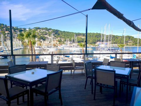 Ideal location on the port of St Mandrier for this wonderful restaurant with terraces. Transfer of business and premises. With a total capacity of 150 seats for a total surface area of ??330m², it comes with 2 terraces respectively equipped with shad...