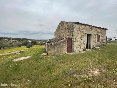 Quinta T1 in Martianas - Orca (Fundão) Flat area, completely fenced and easily accessible. Features of the farm: » It has a rural construction and a well. » It has fruit trees and olive trees. » Very fertile soil. The ideal opportunity to have your f...