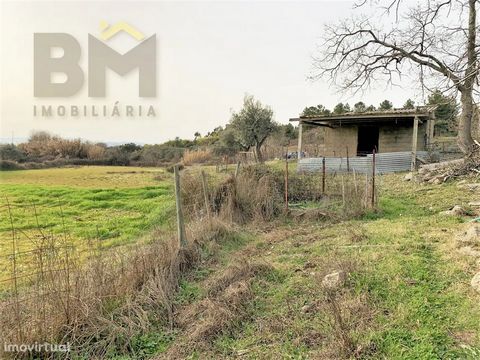 Rustic land with 7220m2, near the village of Águas, municipality of Penamacor. With good access to any vehicle, dirt road, 600m from the national road. The land is walled next to the dirt path and remaining fenced area. Fertile land, abundant water w...