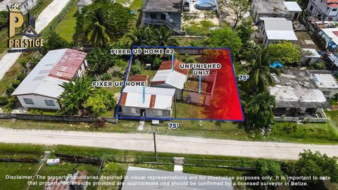 Nestled in the heart of Orange Walk Town's vibrant community, this charming fixer-upper at No. 29 Bishop Martin Street offers an exceptional opportunity for those seeking both affordability and potential. Comprising two residential structures awaitin...