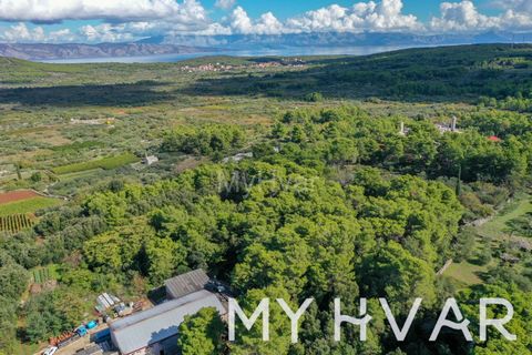 Discover the perfect setting for your family house or villa on this building land situated in the heart of Hvar Island, within the iconic village of Vrbanj. Boasting an ideal location, this plot offers proximity to water and electricity supply, layin...