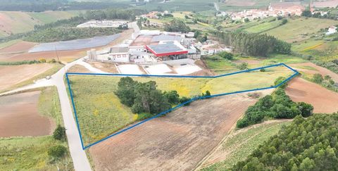 Rustic land with approximately 14320m2, located in Ribeira de Palheiros (Lourinhã). Next to the town, just a few minutes from Lourinhã. East/west orientation with excellent sun exposure. Ideal for irrigated crops. COME VISIT!!! Spreading Magic Throug...