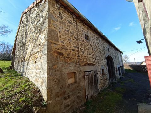 photo no. 9