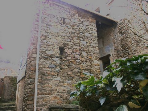 photo no. 14