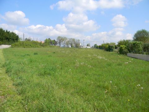 Terrain