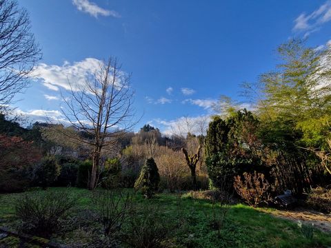 photo no. 13