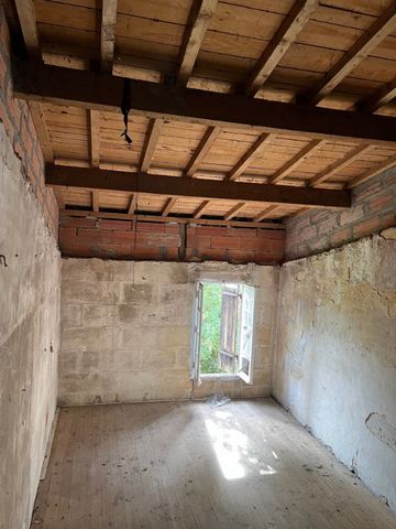 photo no. 8