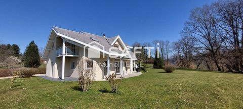 photo no. 12