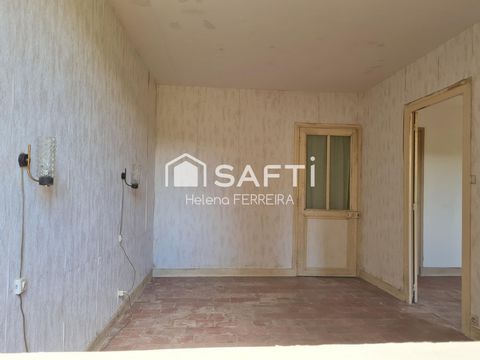 photo no. 15