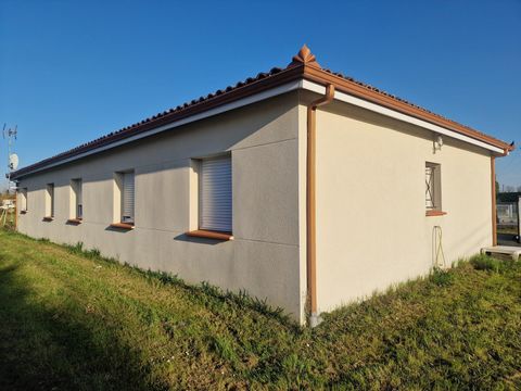 photo no. 1