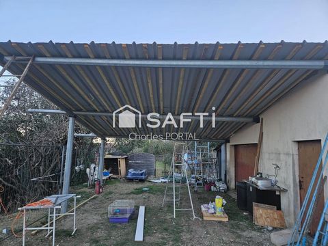 photo no. 13