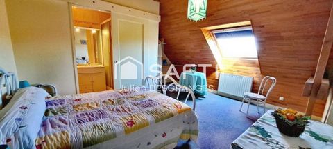 photo no. 11