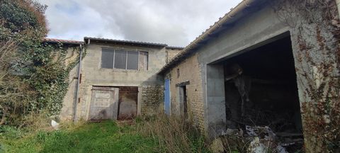 photo no. 6