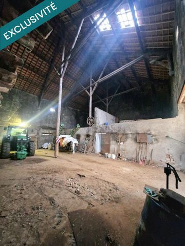 photo no. 14
