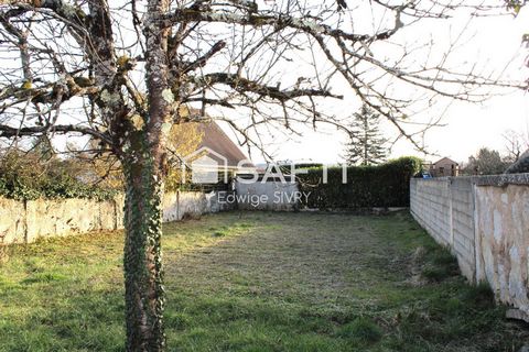 photo no. 9