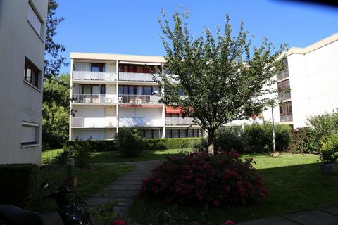 photo no. 11