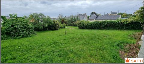 photo no. 12