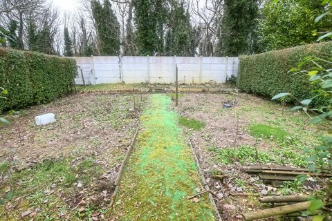 photo no. 13