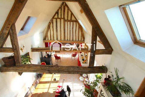 photo no. 5