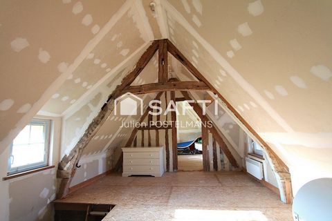 photo no. 11